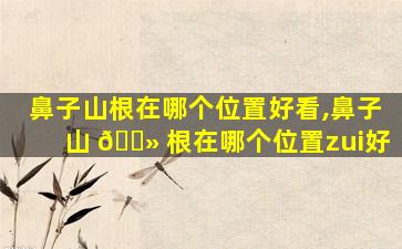 鼻子山根在哪个位置好看,鼻子山 🌻 根在哪个位置zui
好